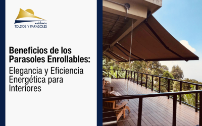 Beneficios de los Parasoles Enrollables: Elegancia y Eficiencia Energética para Interiores 