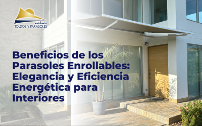 Beneficios de los Parasoles Enrollables: Elegancia y Eficiencia Energética para Interiores