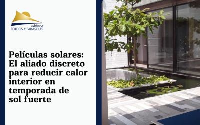 Películas solares: el aliado discreto para reducir calor interior en temporada de sol fuerte